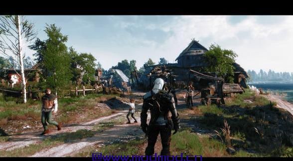 Wild Witcher 2017