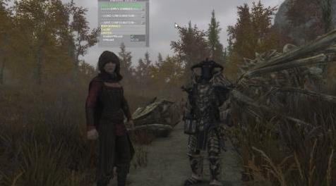 上古卷轴5：重置版MOD 超过60个FPS物理修复（不需要编辑你的ini文件）