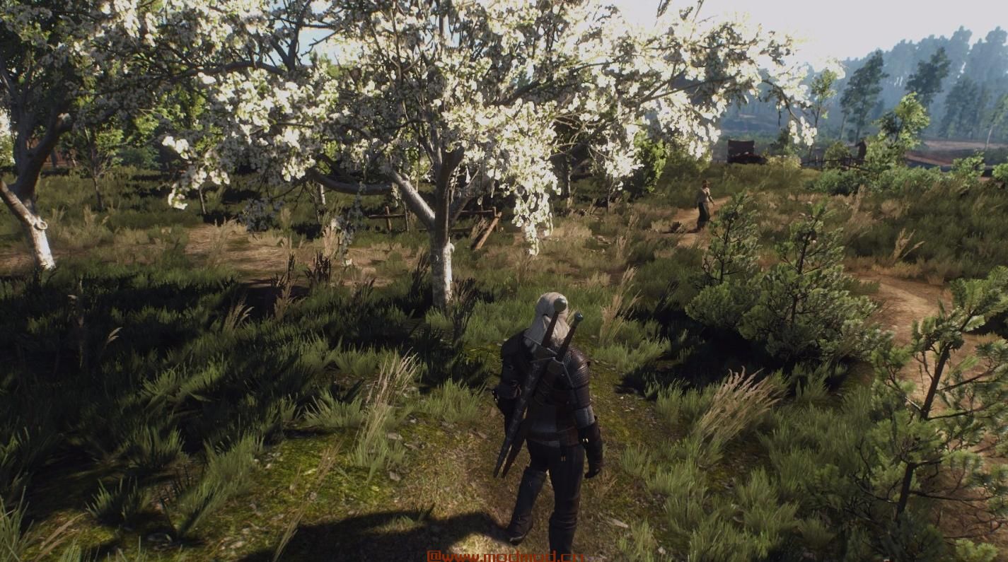 巫师3：狂猎MOD 调和色与对比度重新调整