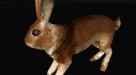 上古卷轴5：重置版MOD 兔子HD