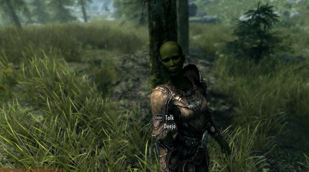 野兽种族人性化