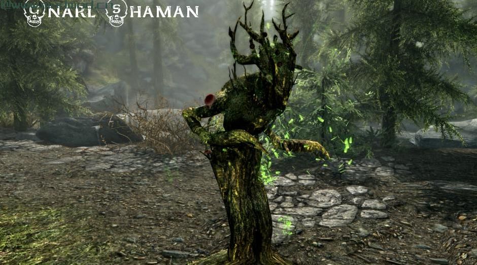 上古卷轴5：重置版MOD Noiral Reborn  - 一个游侠和德鲁伊主题的Mod