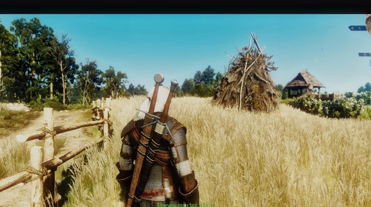 巫师3：狂猎MOD 巫师3电影翻拍