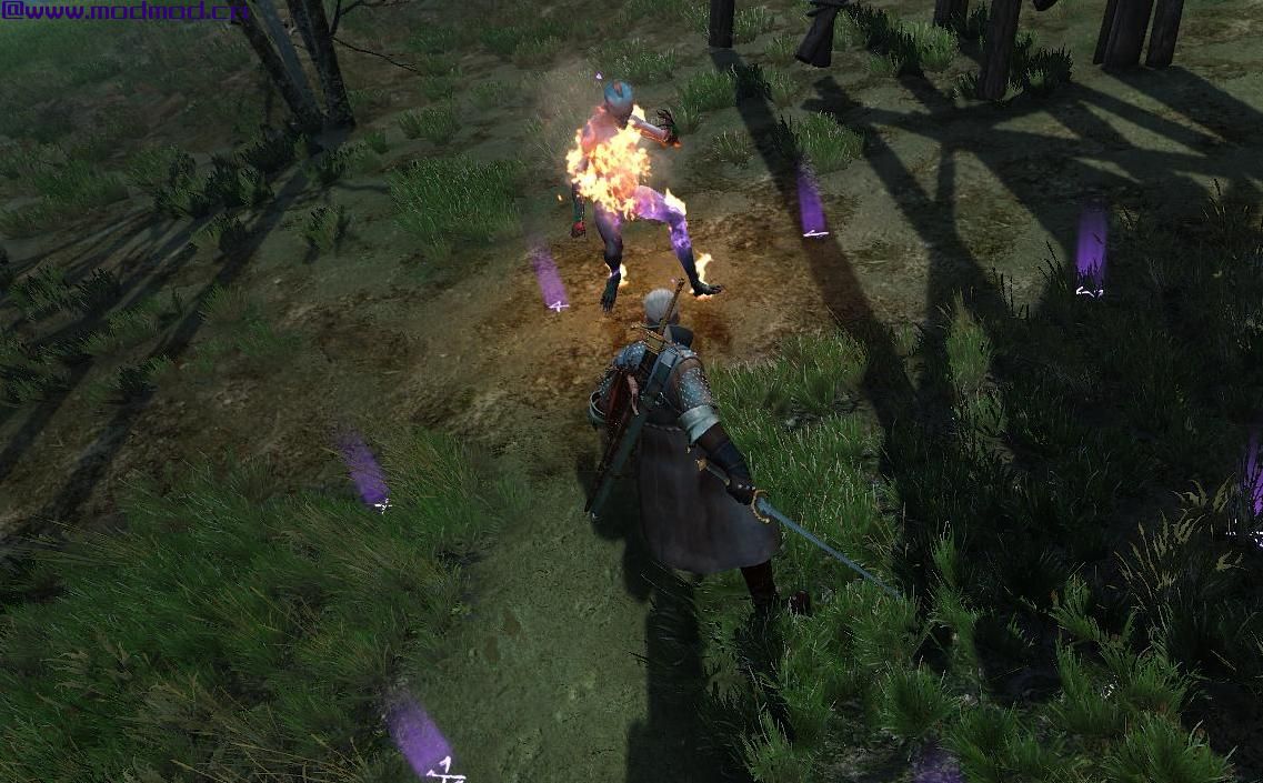 巫师3：狂猎MOD 为DLC和遗物装甲设置奖励
