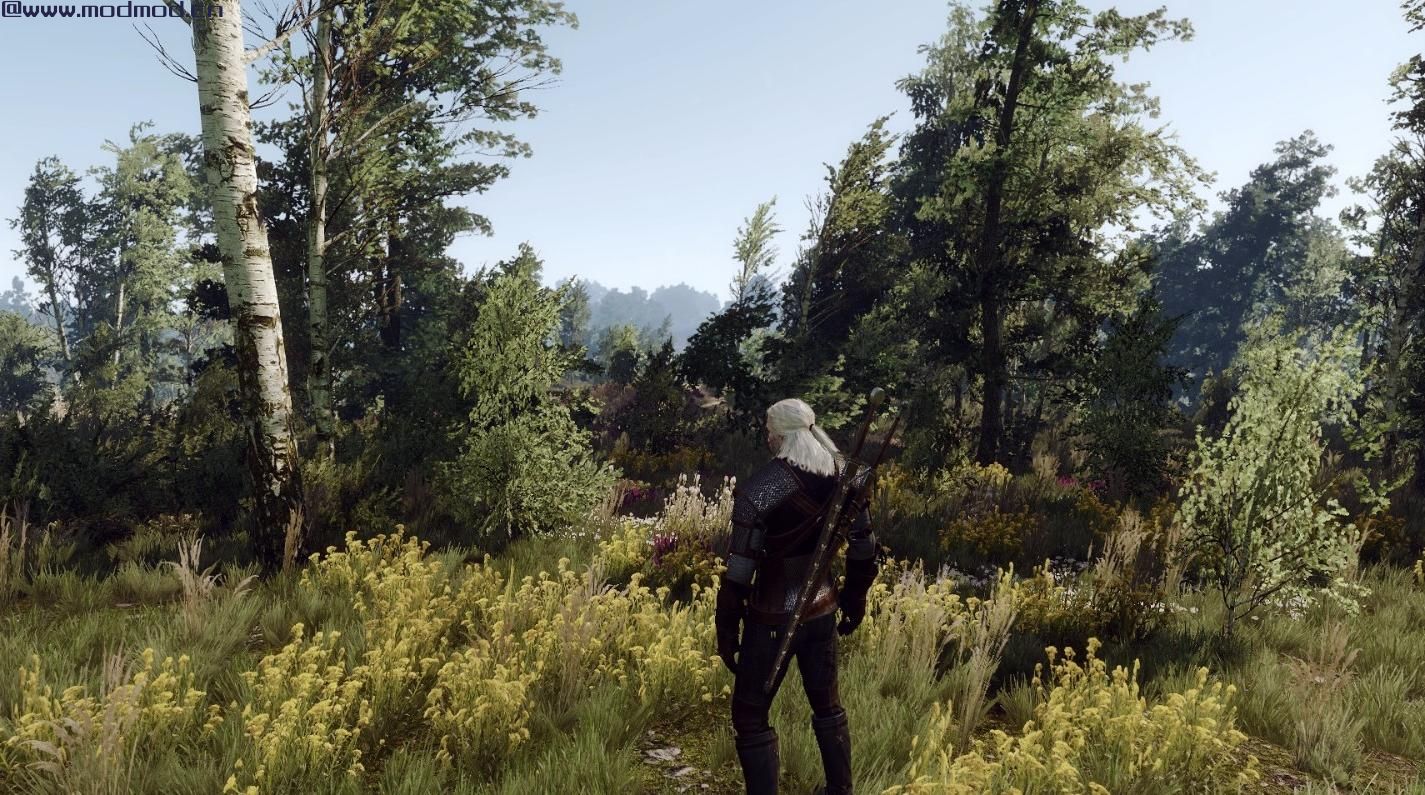 巫师3：狂猎MOD 基于现实的视觉