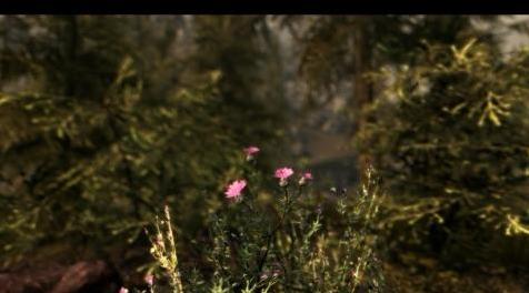 上古卷轴5：天际MOD 天际：重装上阵-Skyrim Reloaded - SKGE