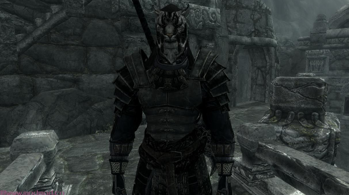 简单的Khajiit粉丝 - 男性