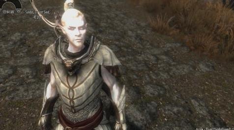 上古卷轴5：重置版MOD Zebserious  -  RAce补丁