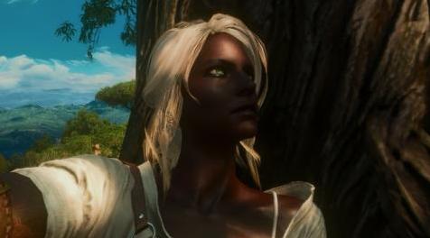 巫师3：狂猎MOD Netflix Ciri（希里新纹理）
