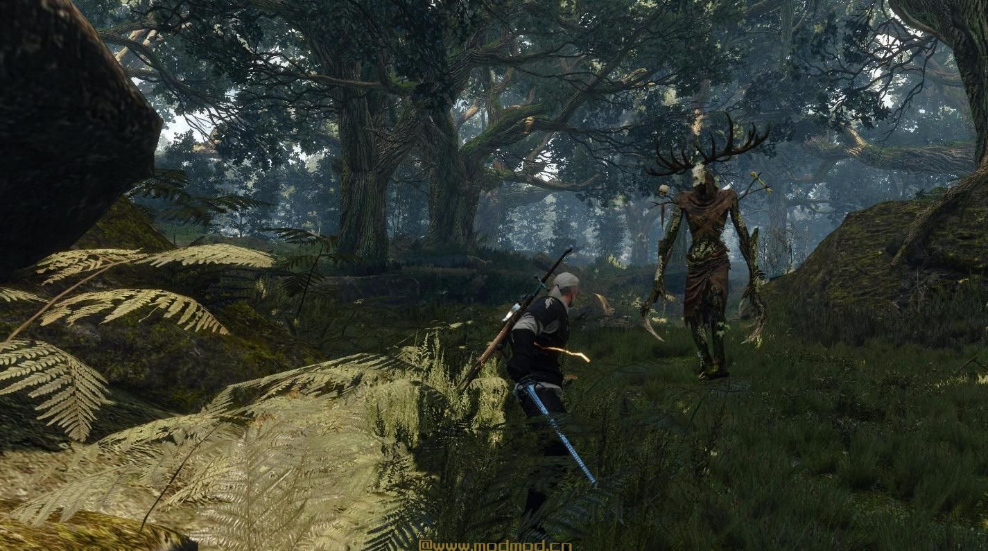 巫师3：狂猎MOD Witcher 3 改进