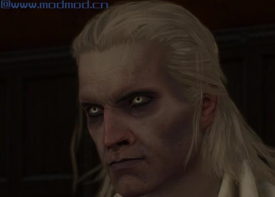 巫师3：狂猎MOD Geralt面部融合