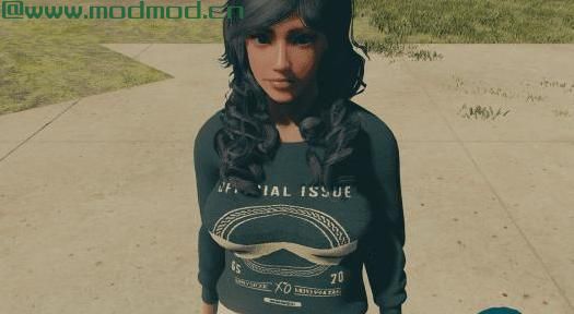 辐射4MOD Commonwealth Pullover Crewnecks - CBBE - JBE 衣服