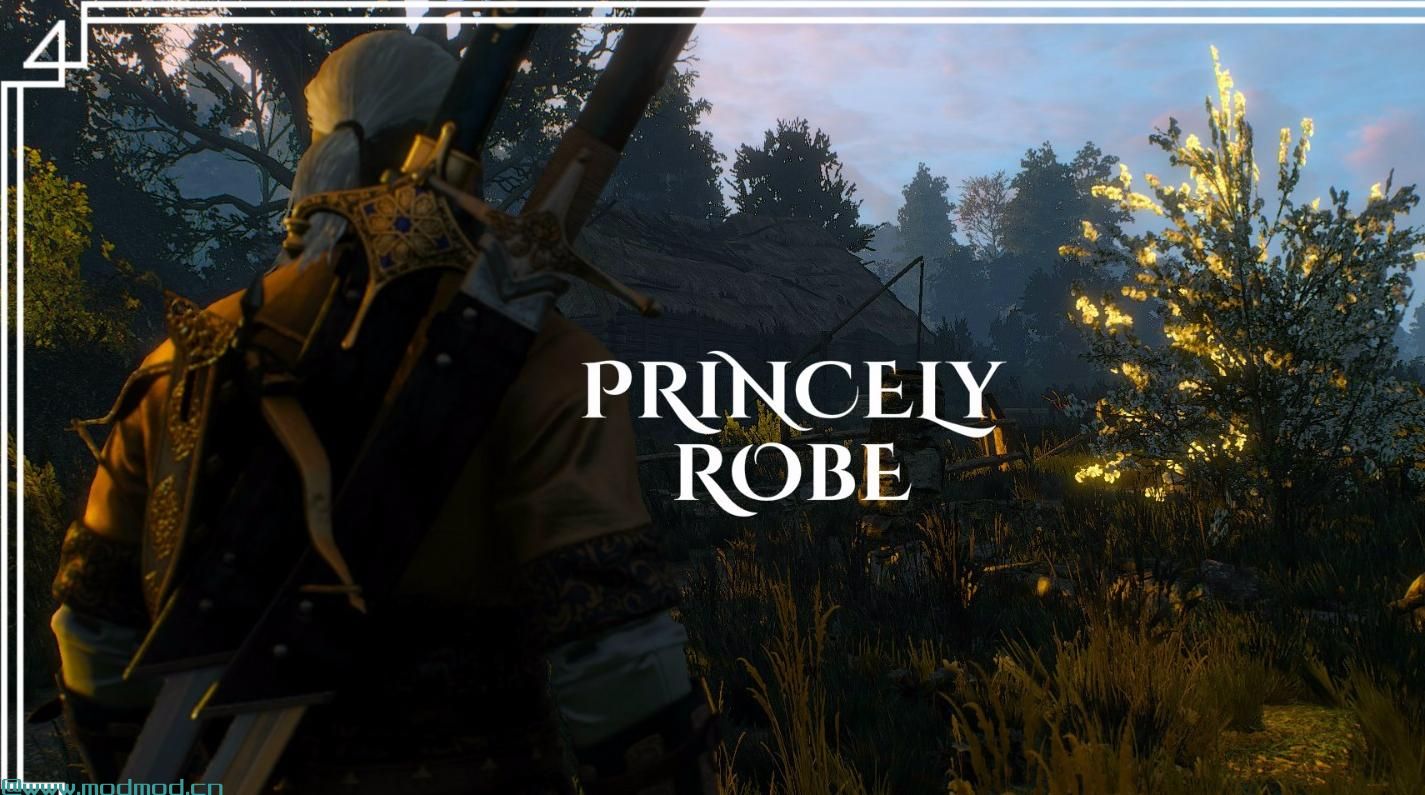 巫师3：狂猎MOD Princely Robe（王子的长袍）