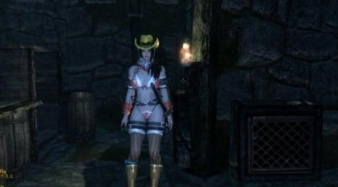 上古卷轴5：天际MOD 最近看到个 御姐玫瑰 的游戏。嗯，自改一套 御姐玫瑰 比基尼UNPB TB