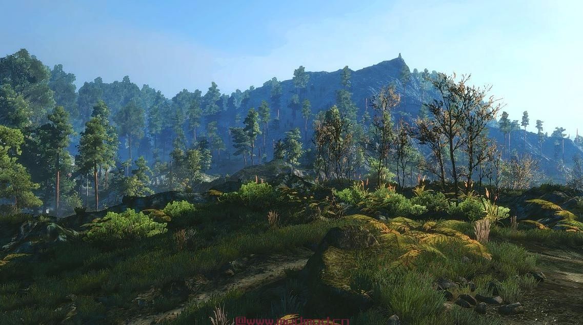 巫师3：狂猎MOD E3Vision（E3视觉效果）