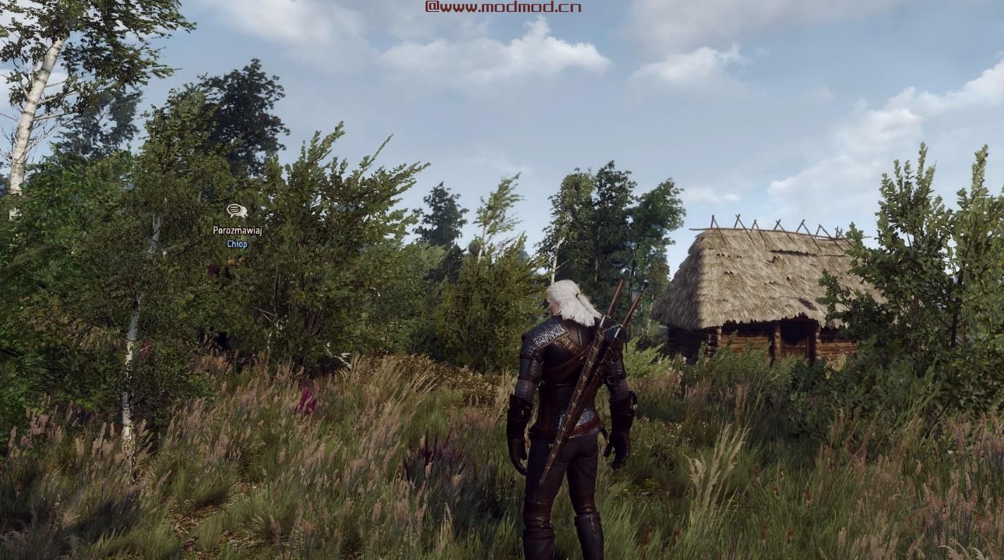 巫师3：狂猎MOD 基于现实的视觉