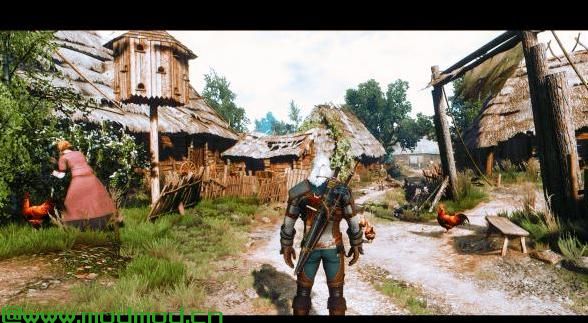Wild Witcher 2017
