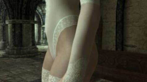 上古卷轴5：天际MOD [Bodyslide] Undies 两套内衣的bs化