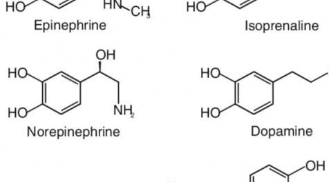 上古卷轴5：重置版MOD 战斗Stamina和Magicka Regen 2x