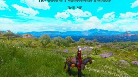 巫师3：狂猎MOD 巫师3滤镜“brill me”