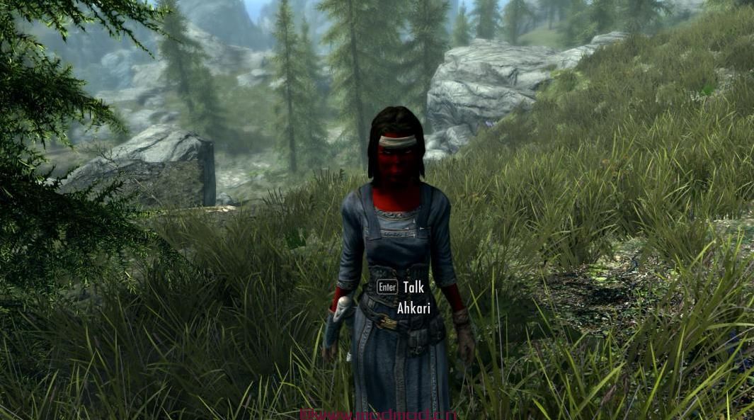 野兽种族人性化