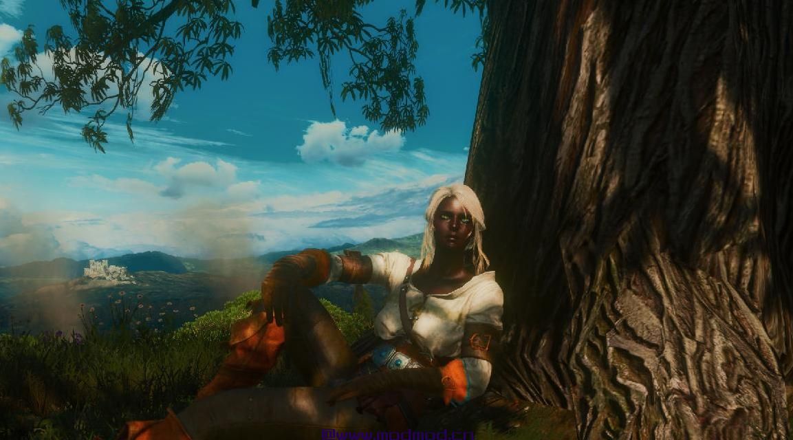 巫师3：狂猎MOD Netflix Ciri（希里新纹理）