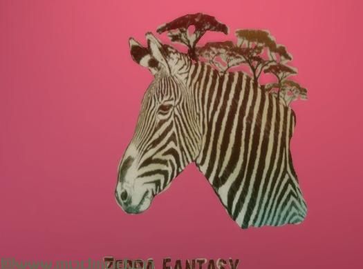 模拟人生4MOD Zebra Wall Stickers 斑马贴纸