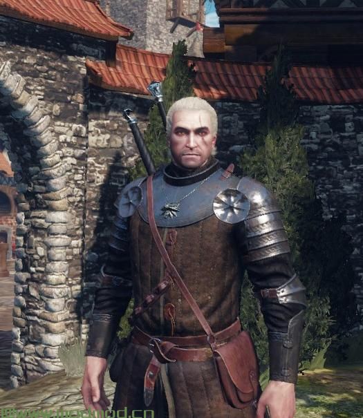 巫师3：狂猎MOD 重新着色的Cidarian骑兵盔甲