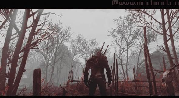 巫师3：狂猎MOD Wild Witcher 2017