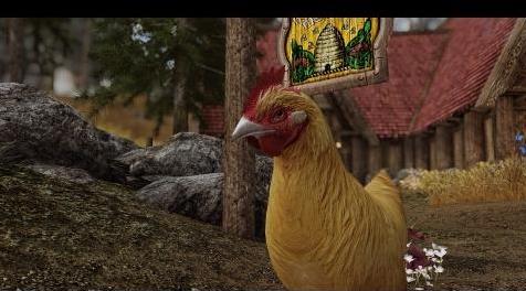 上古卷轴5：重置版MOD 鸡HD