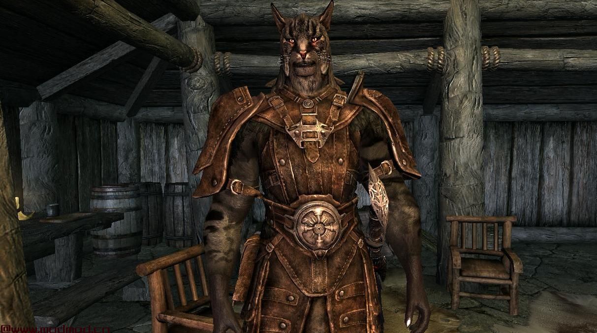 简单的Khajiit粉丝 - 男性