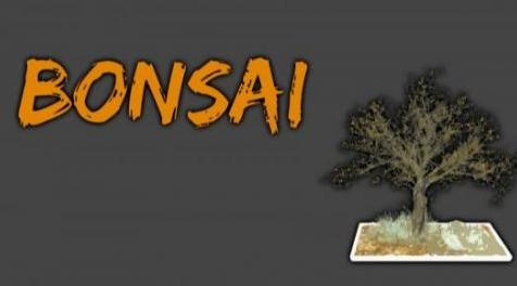 辐射4MOD Bonsai 盆栽