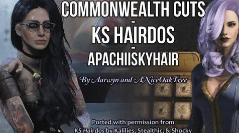 辐射4MOD 联邦美发