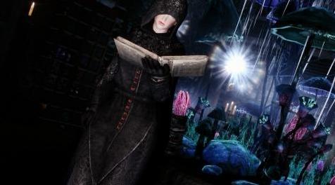 上古卷轴5：重置版MOD 天鹅绒长袍和斗篷SSE