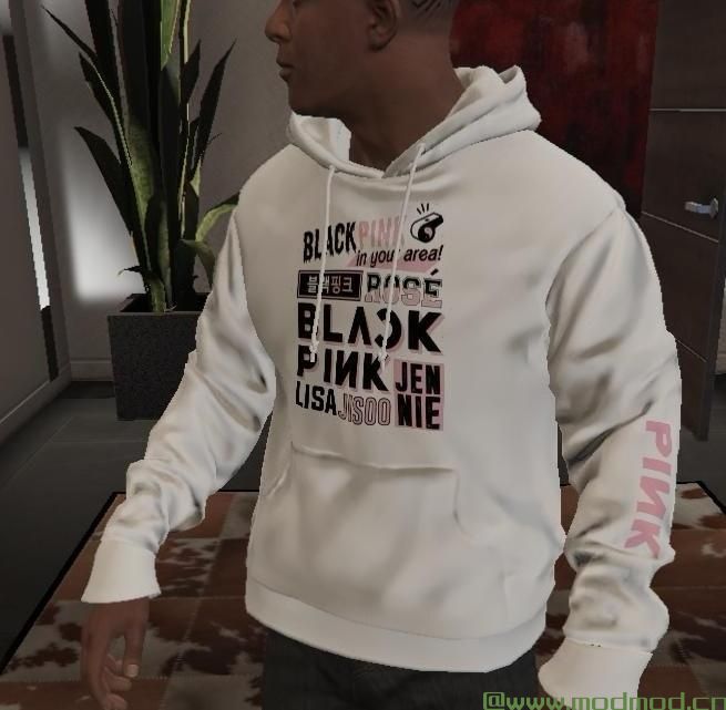 侠盗猎车手5「GTA5」Mod:  T恤和连帽衫