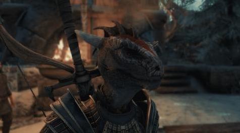 上古卷轴5：重置版MOD Drachis Argonian眉毛