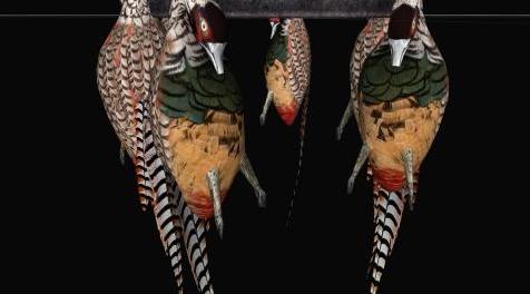 上古卷轴5：重置版MOD 死雉鸡HD