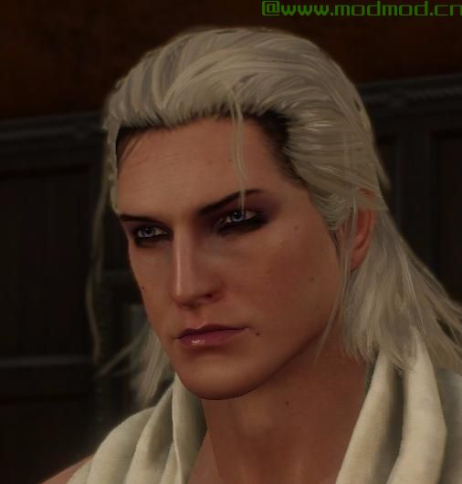巫师3：狂猎MOD Geralt面部融合