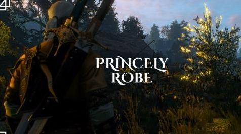 巫师3：狂猎MOD Princely Robe（王子的长袍）