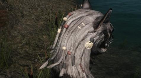 上古卷轴5：重置版MOD Saerileth的Khajiit Hair
