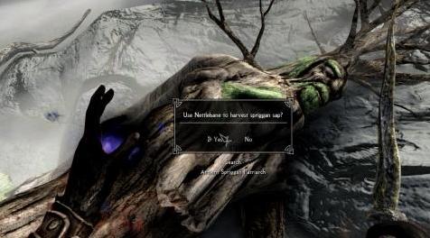 上古卷轴5：重置版MOD Netite补丁为Zim的文物和身临其境的生物