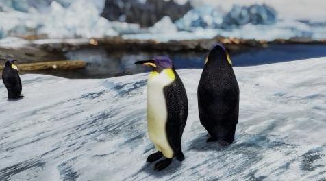 上古卷轴5：重置版MOD 现实企鹅2k