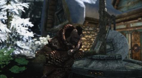 上古卷轴5：重置版MOD 众议院的英雄