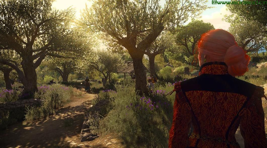巫师3：狂猎MOD My Mod Collection（我的mod收藏）