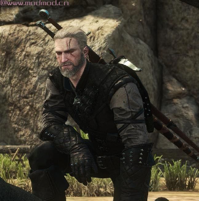 巫师3：狂猎MOD Reralt’s 随意的重新处理