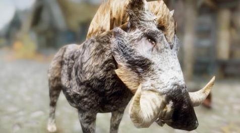 上古卷轴5：重置版MOD ElSopa HD  -  Bristleback SE