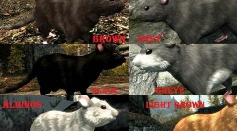上古卷轴5：天际MOD 「 萌萌的恶鼠（雪鼠）-Rats for Skeever Replacement 」