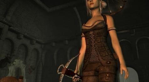 上古卷轴5：重置版MOD 矛盾的弩弓动物（并排行走）