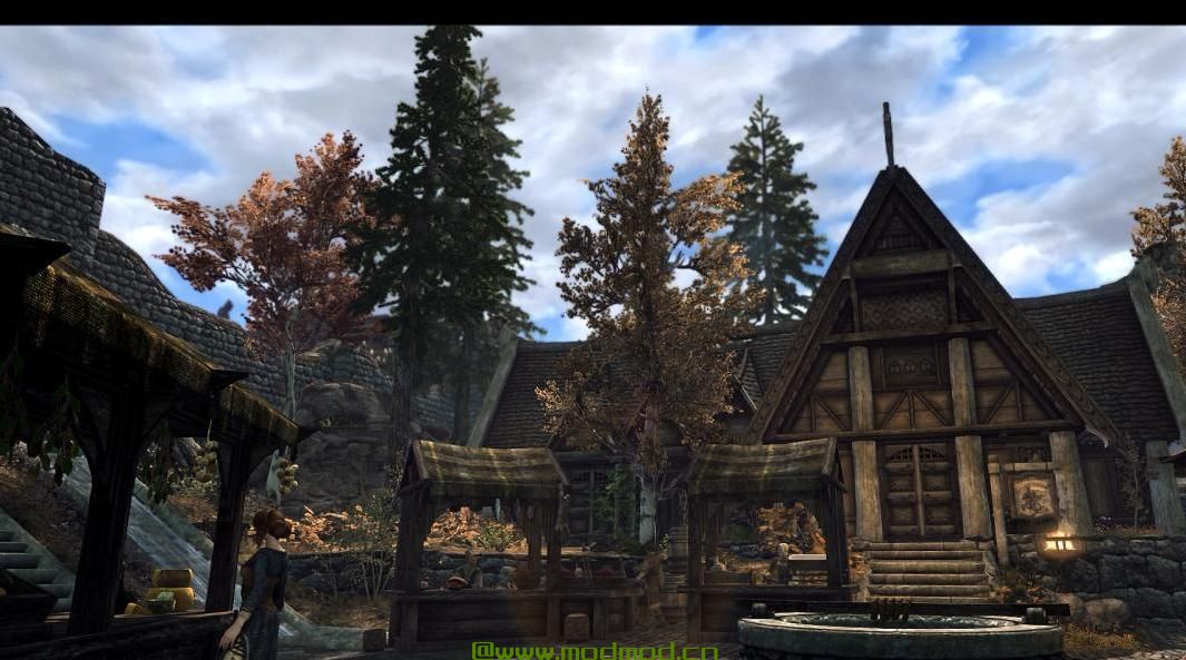 上古卷轴5：重置版MOD 在Whiterun的Blubbos树