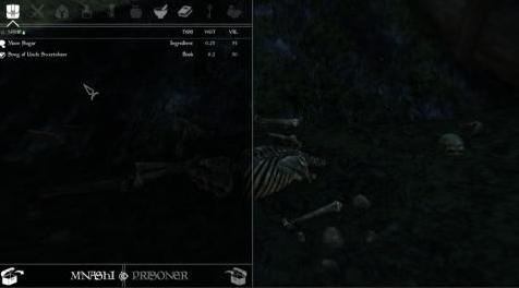 上古卷轴5：重置版MOD Uncle Sweetshare的工作室